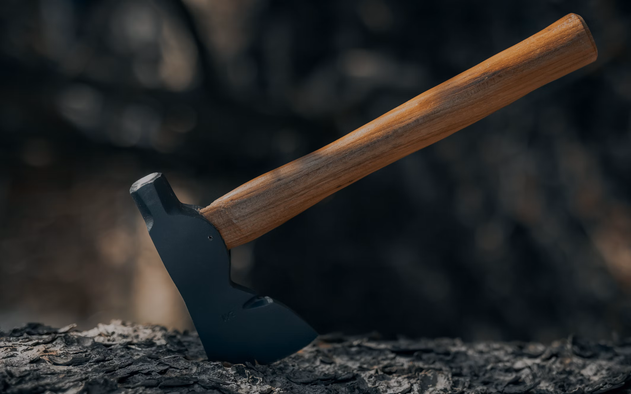 Baumpflege Arbeiten